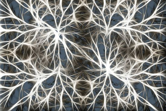 Konzept Neuronen Hirnzellen