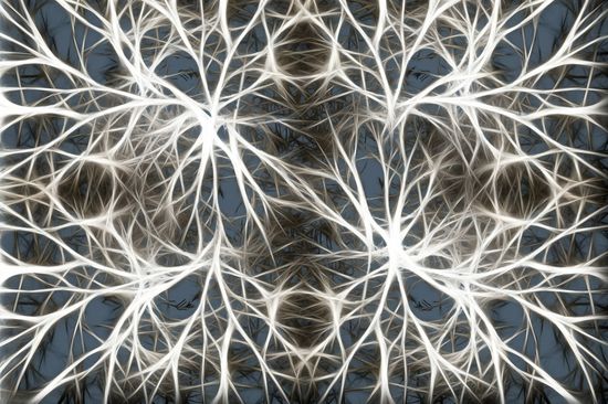Konzept web of neurons