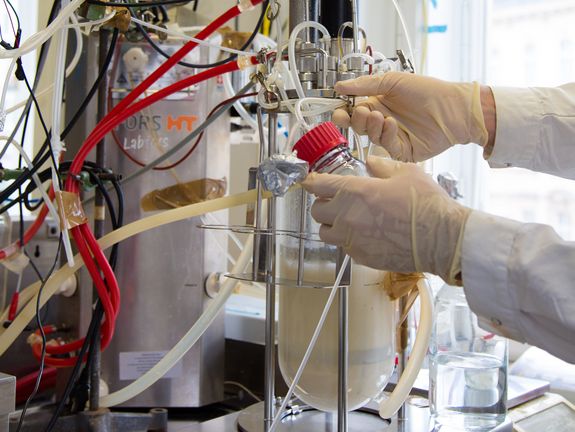 TU-Bio: Der Life-Science bereich an der TU Wien feiert große Erfolge TU-Bio: Der Life-Science bereich an der TU Wien feiert große Erfolge