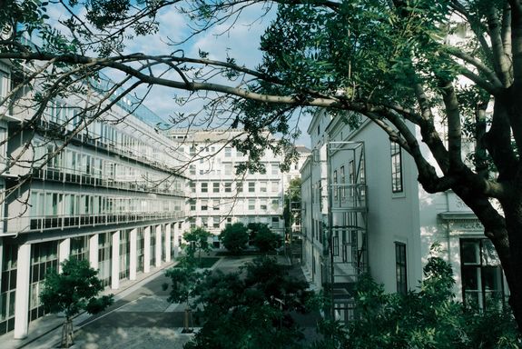 Loschmidt Platz Länglicher Innenhof mit jungen Bäumen.