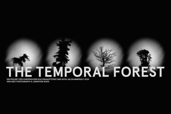 Image: Black background with four circular projections of four different trees arranged next to each other. Below them in large white letters 'The Temporal Forest'