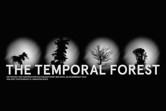 Image: Black background with four circular projections of four different trees arranged next to each other. Below them in large white letters 'The Temporal Forest'