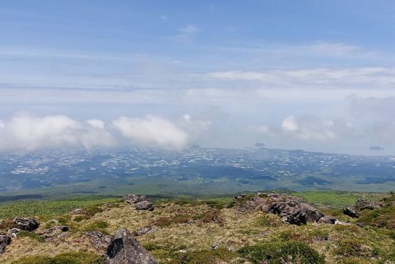 Blick von einem Berg auf die Küste