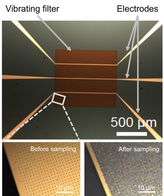 Mikroskop-Bild einer Filtermembran mit Gold-Elektroden zum Auslesen der mechanischen Vibration (oben). Mikroskop-Bilder von der Filtermembran bevor und nach dem Sampling einer chemischen Probe (unten). Mikroskop-Bild einer Filtermembran mit Gold-Elektroden zum Auslesen der mechanischen Vibration (oben). Mikroskop-Bilder von der Filtermembran bevor und nach dem Sampling einer chemischen Probe (unten).