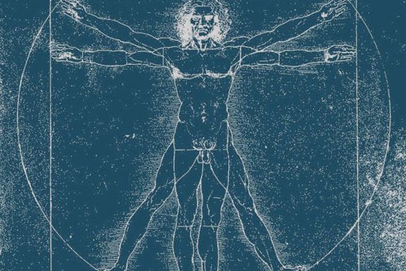 unknown Leonardo da Vinci blue print