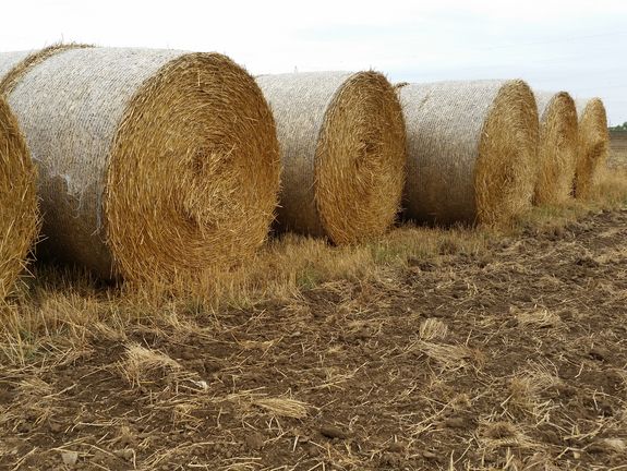 Stroh – kein Abfall, sondern wertvoller Rohstoff