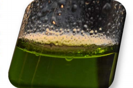 Die optimale Alge für die Produktion von Biotreibstoff: ein High‐Potential gefunden - Gene Technology Group & TUMA Pumpen GmbH