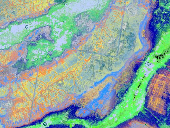 A vegetation map, showing different kinds of vegetation in different colors. A vegetation map, showing different kinds of vegetation in different colors.