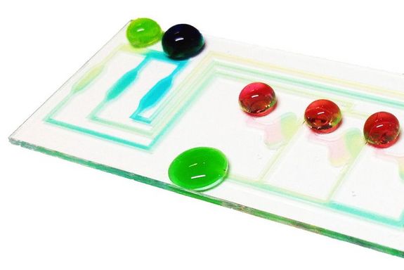 Ein Bio-Chip an der TU Wien