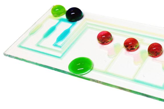 mikrofluidischer Bio-Chip 02
