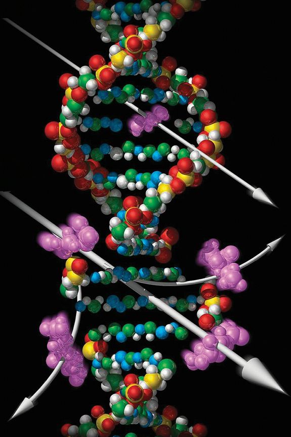 Aufgrund der hohen Ionisationsdichte kann kosmische Strahlung die Stränge der DNA aufbrechen und Gene schädigen. (Copyright NASA) Aufgrund der hohen Ionisationsdichte kann kosmische Strahlung die Stränge der DNA aufbrechen und Gene schädigen. (Copyright NASA)