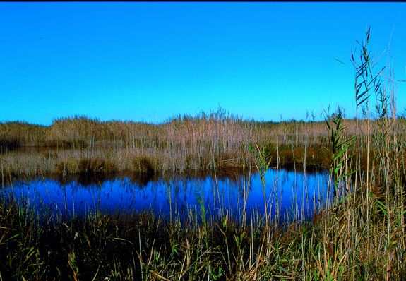 Ein Steppensee - ein wertvolles Biotop (Copyright: BeNatura)