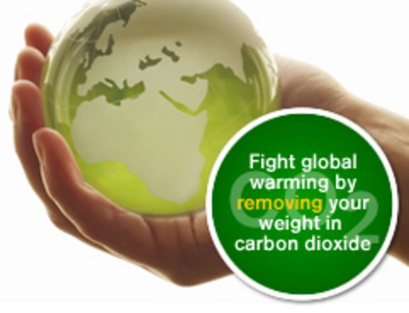 Abb. 4: Innenleben der Uhr