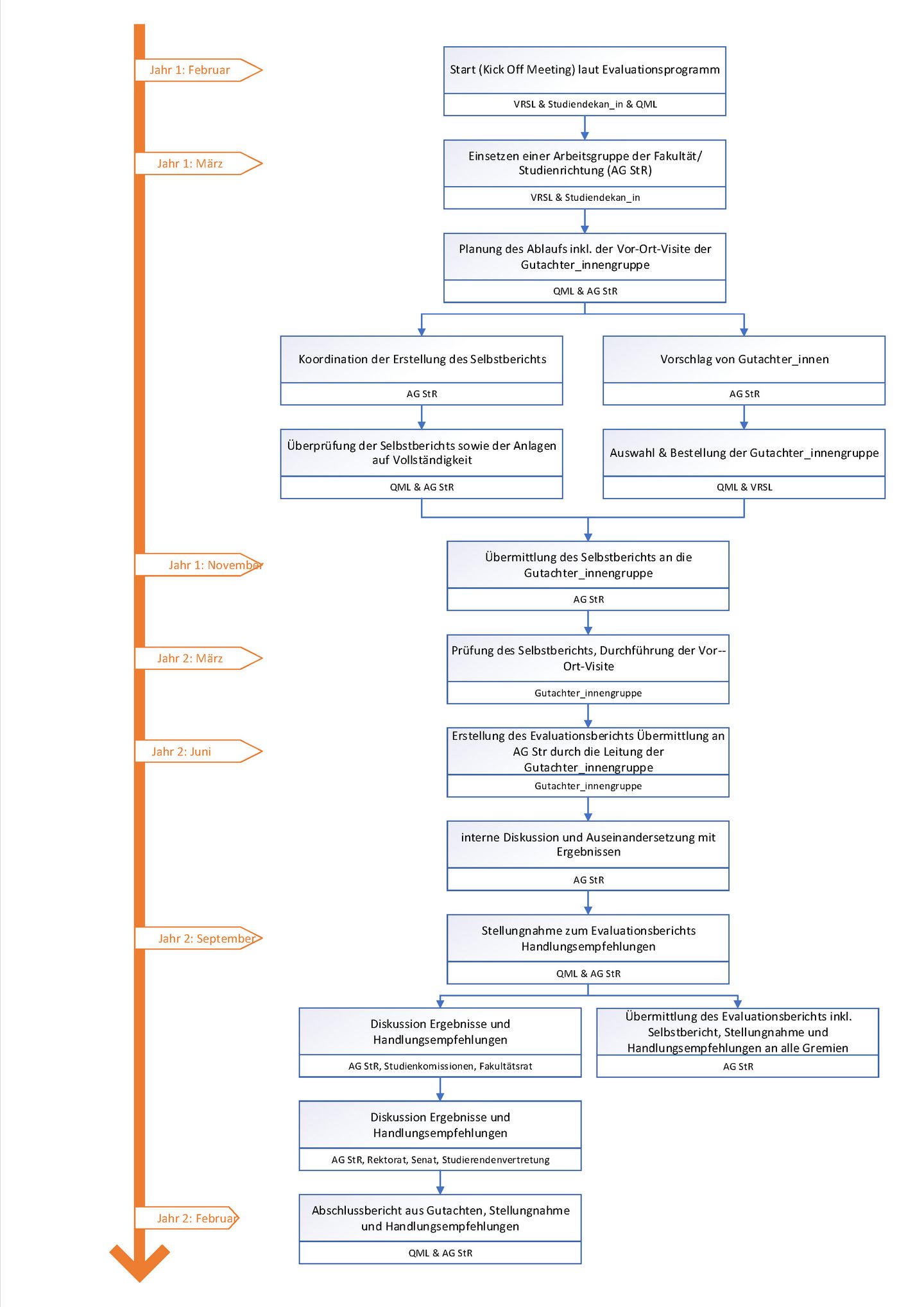 Ablauf des Peer Review Prozesses
