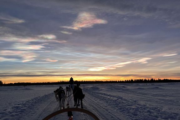 Husky-Schlitten