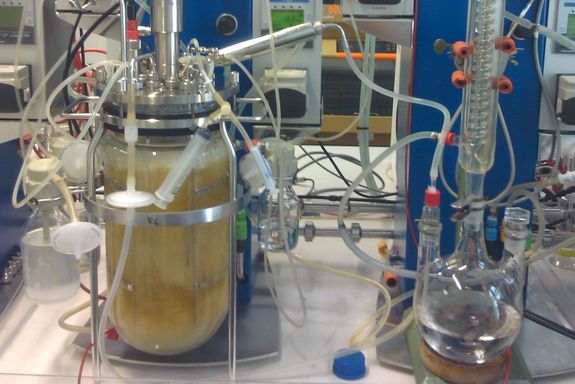 Bioreaktor