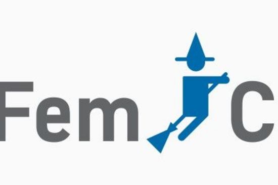 [Translate to English:] logo femchem