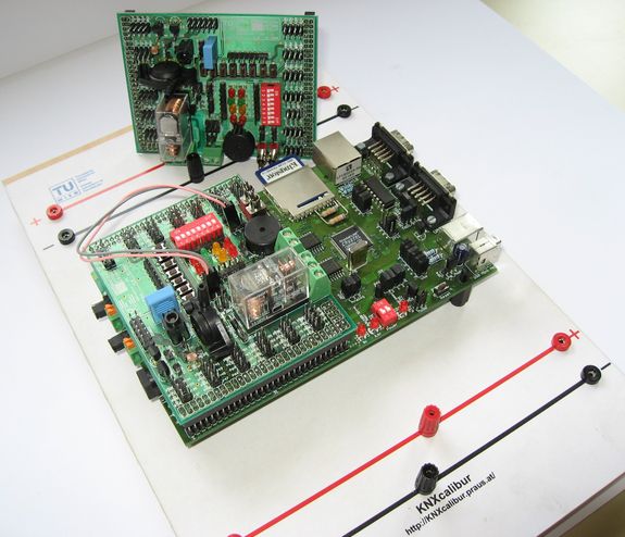 Der Hai und der Computerchip: Beide verdanken ihren Erfolg feinen Mikrostrukturen.