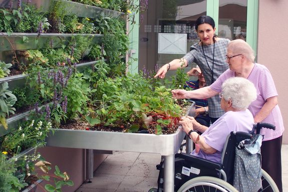 Heimbewohnerinnen kümmern sich um Pflanzen