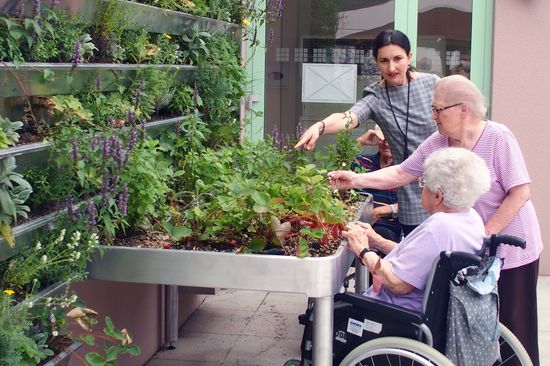 Heimbewohnerinnen kümmern sich um Pflanzen