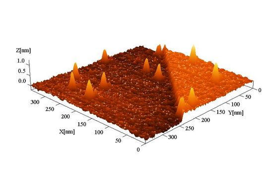 Status Quo: WS 2014/15