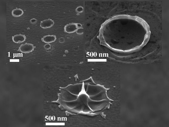 Chandra Nathala, Dr. Ali Ajami, Prof. Wolfgang Husinsky (v.l.n.r)