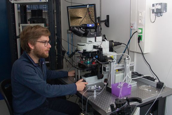 [Translate to English:] Nervenzellen_blinder_Maeuse_1