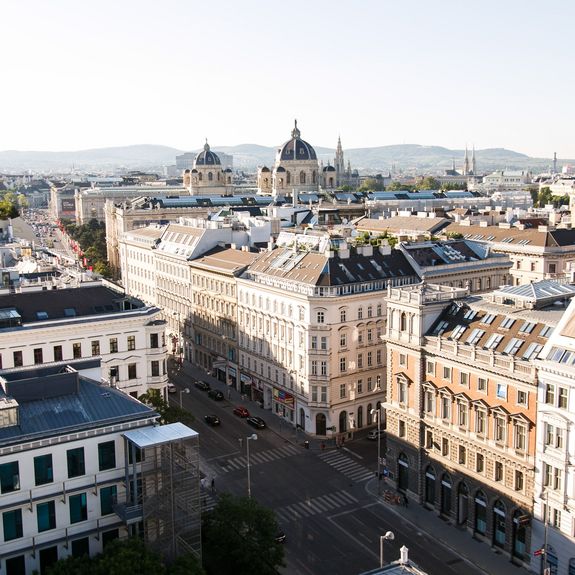 Vienna Skyline