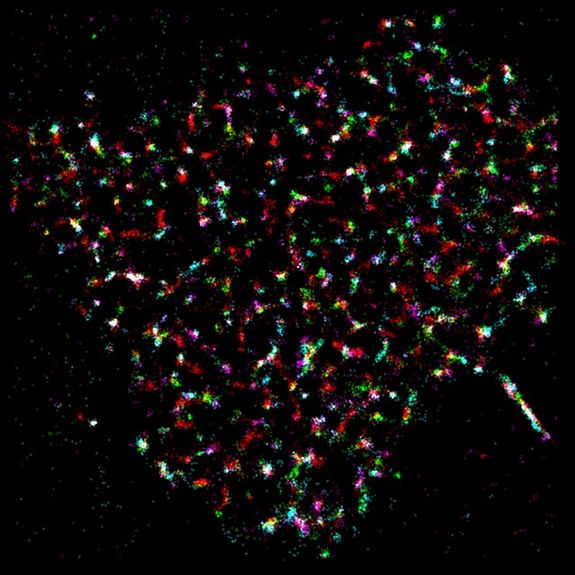 [Translate to English:] Ein typisches Bild, zusammengesetzt aus mehreren Mikroskop-Aufnahmen.