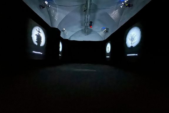 A dark room with walls covered in black fabric. 4 circular projections of individual trees - two on the left, two on the right. The ceiling of the hall is softly lit.