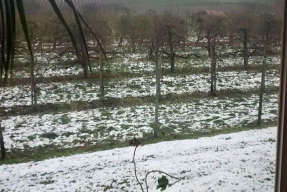 Schnee im Garten