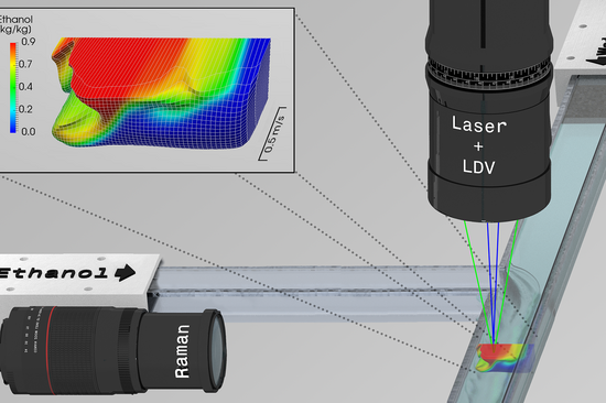Novel 2-in-1 Laser Eye