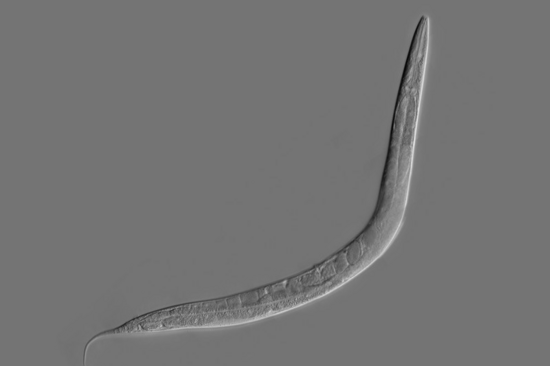 [Translate to English:] 