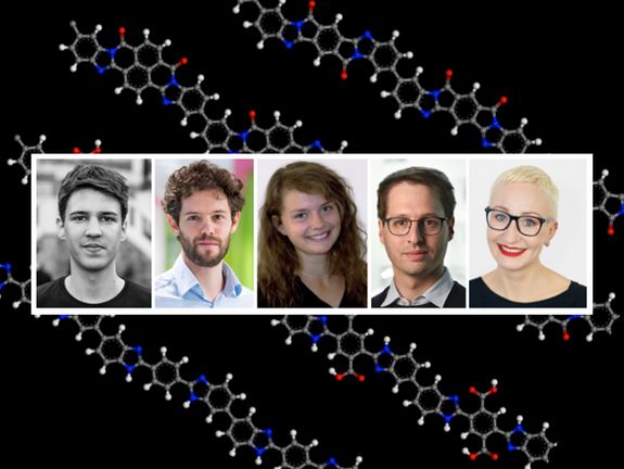 The authors of the study