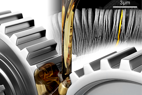 in the foreground: gear wheels onto which oil is poured for lubrication. in the background: image of 2D material.
