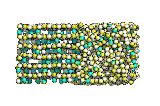 Computersimulation (basierend auf Konzepten der Statistischen Physik) eines Systems komplexer kolloidaler Teilchen.