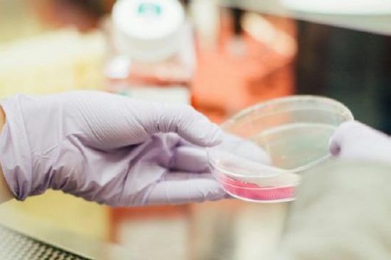 Scientist holding a Petri dish in a laboratory. 