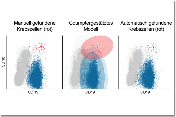 FlowMe – Krebszellen FlowMe – Computergestütztes Modell
