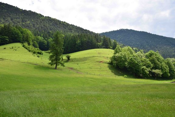 MBA Kick-off in May 2021 in the Vienna Woods