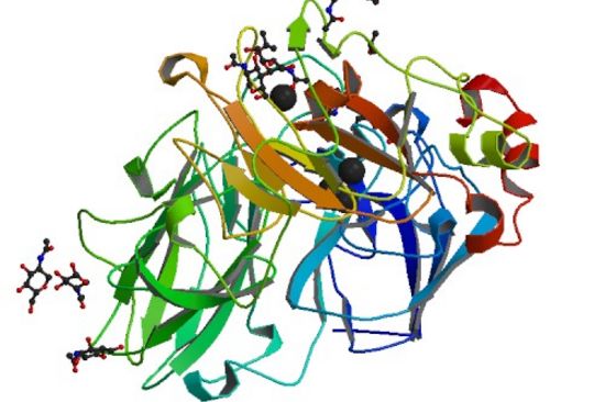 Rund ums Wasser gibt es unzählige interdisziplinäre Forschungsthemen
