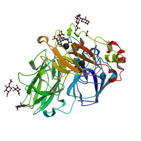 Rund ums Wasser gibt es unzählige interdisziplinäre Forschungsthemen