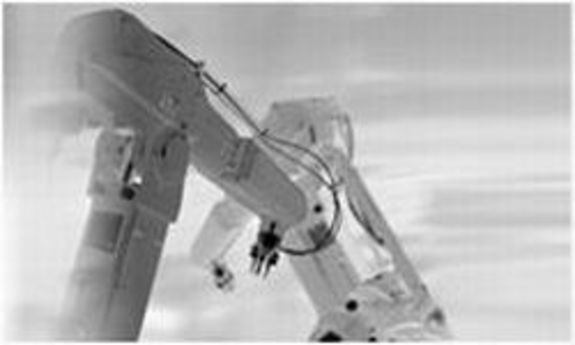 Monika Haselbacher (Foto: privat)