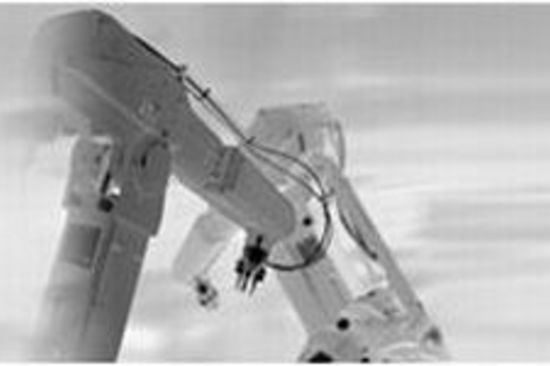 Monika Haselbacher (Foto: privat)