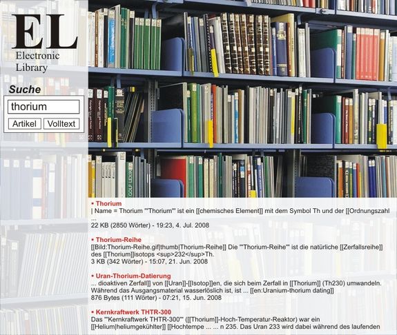 Exemplarische Darstellung der Suchfunktion einer elektronischen Bibliothek
