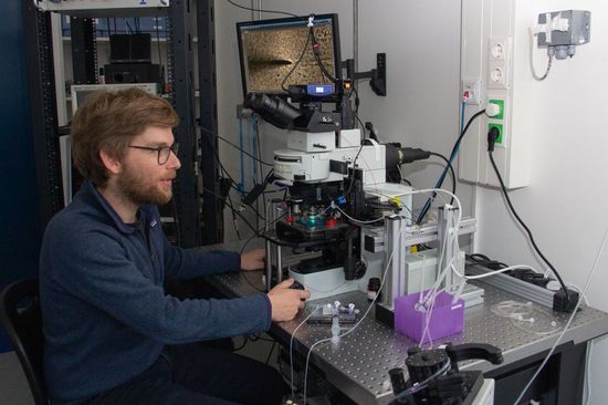 researcher sitting in front of the microscope