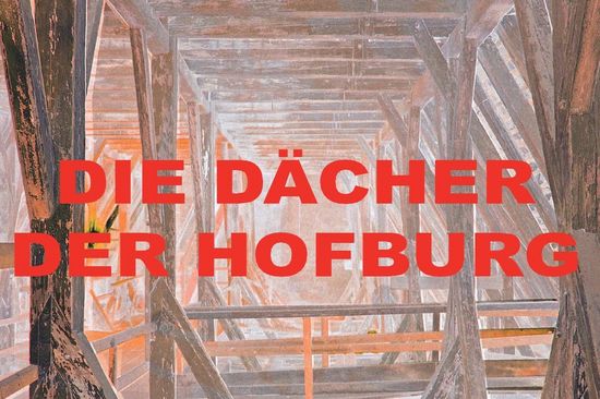 Die Dächer der Hofburg