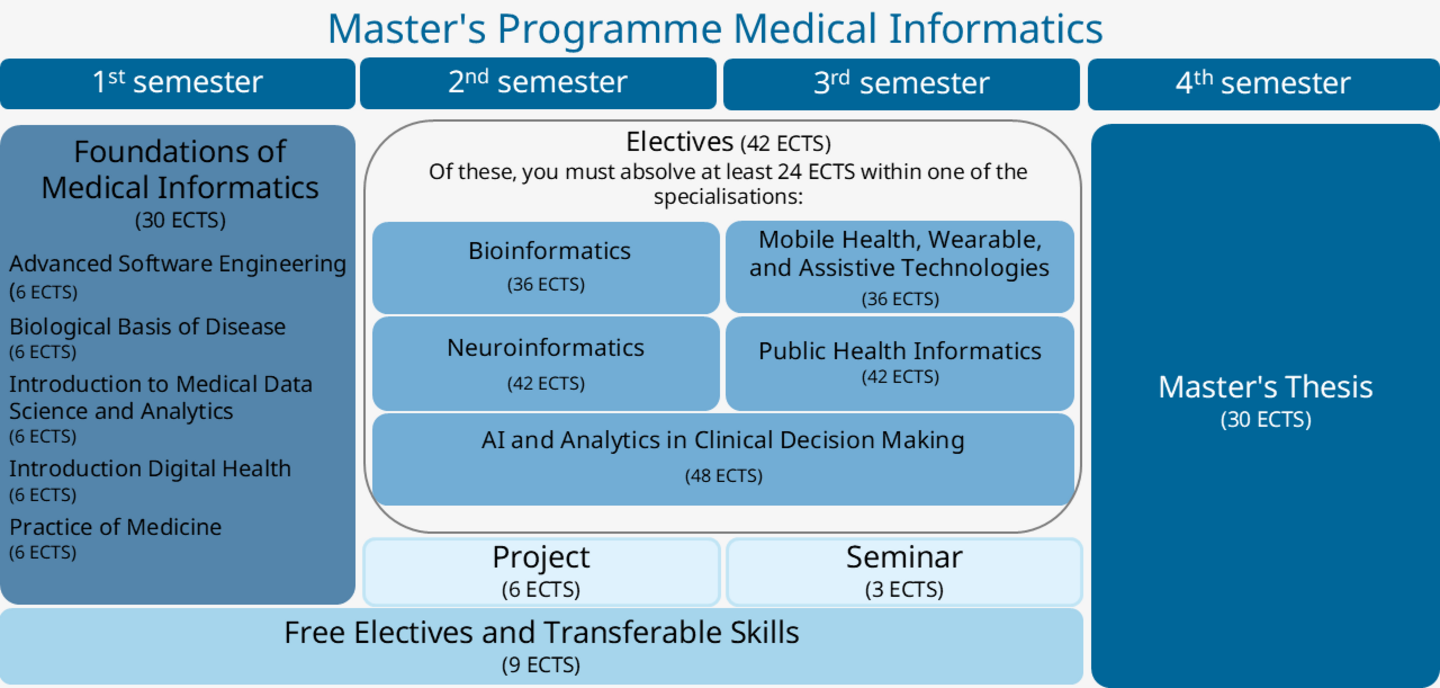 Graphic represenation of the curriuclum Medical Informatics
