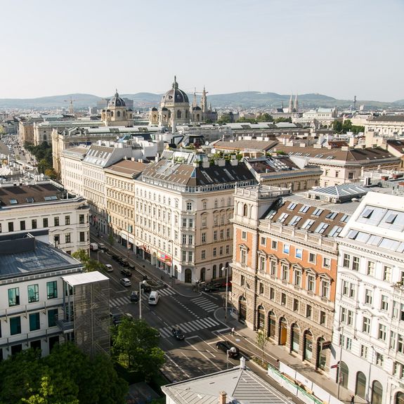 Vienna Skyline