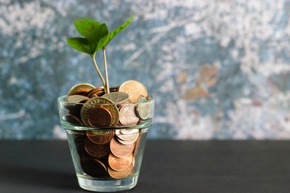 Photo by Visual Stories || Micheile on Unsplash Eine Pflanze wächst in einem Münzglas.