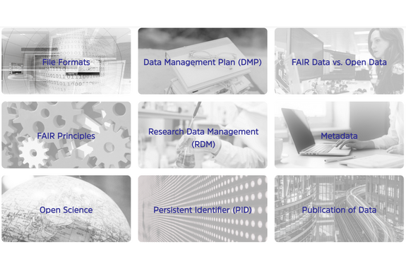 A screenshot of the collection's website where nine clickable fields are shown, each with a black and white photo in the background and the name of an RDM topic in the front.
